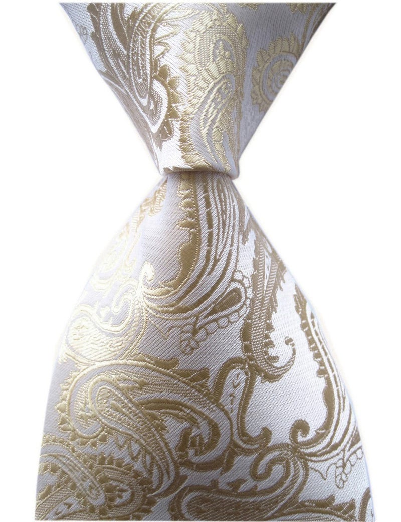 Secdtie Mens Champagne Tie Elegant Events Formal Classic Handsome Necktie for Ideal Gift - Image 3